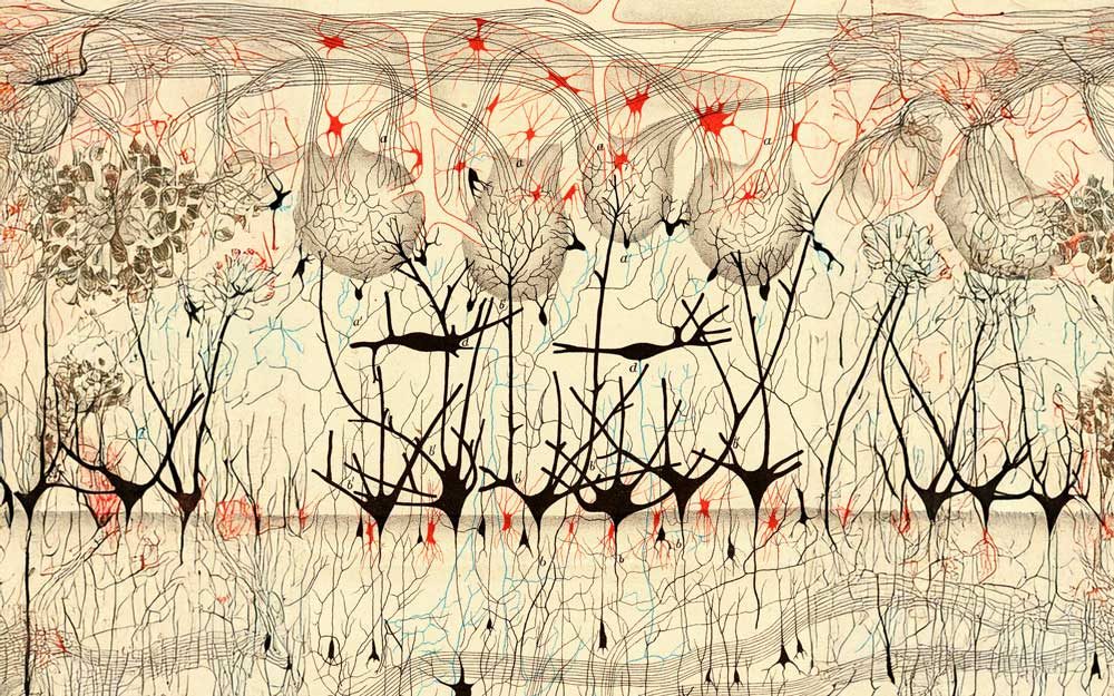 The Beautiful Engineering of Us: From Neurons to Collective Minds | The ...