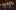 Fall, Youth, Showcase, Mariachi, Santa Fe, Symphony, Lensic